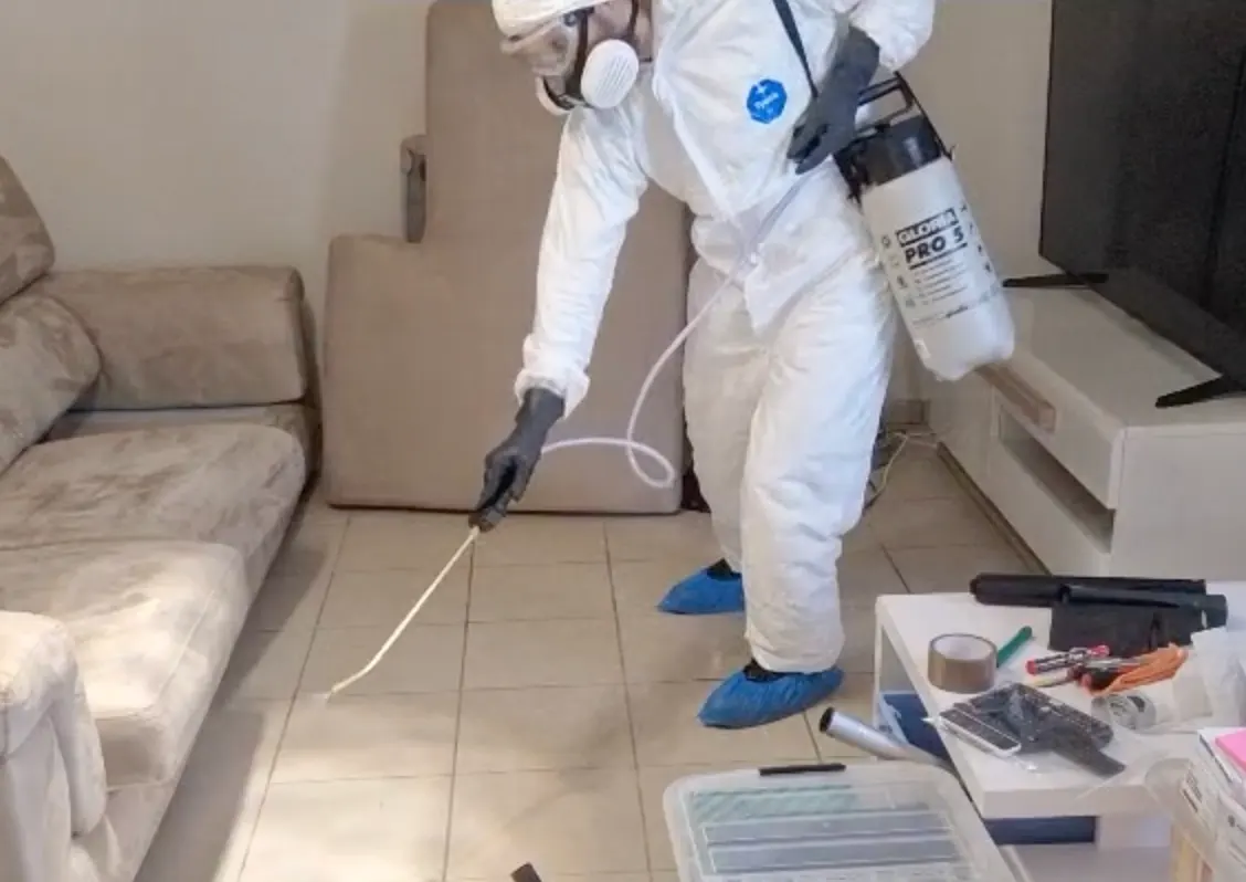 Intervention de traitement par pulvérisation pour punaises de lit