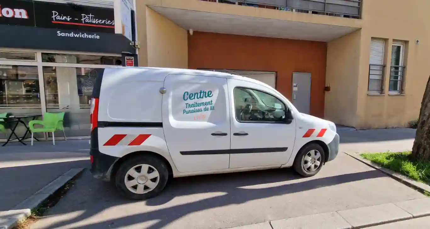 Intervention de traitement des punaises de lit avant déménagement à Lyon