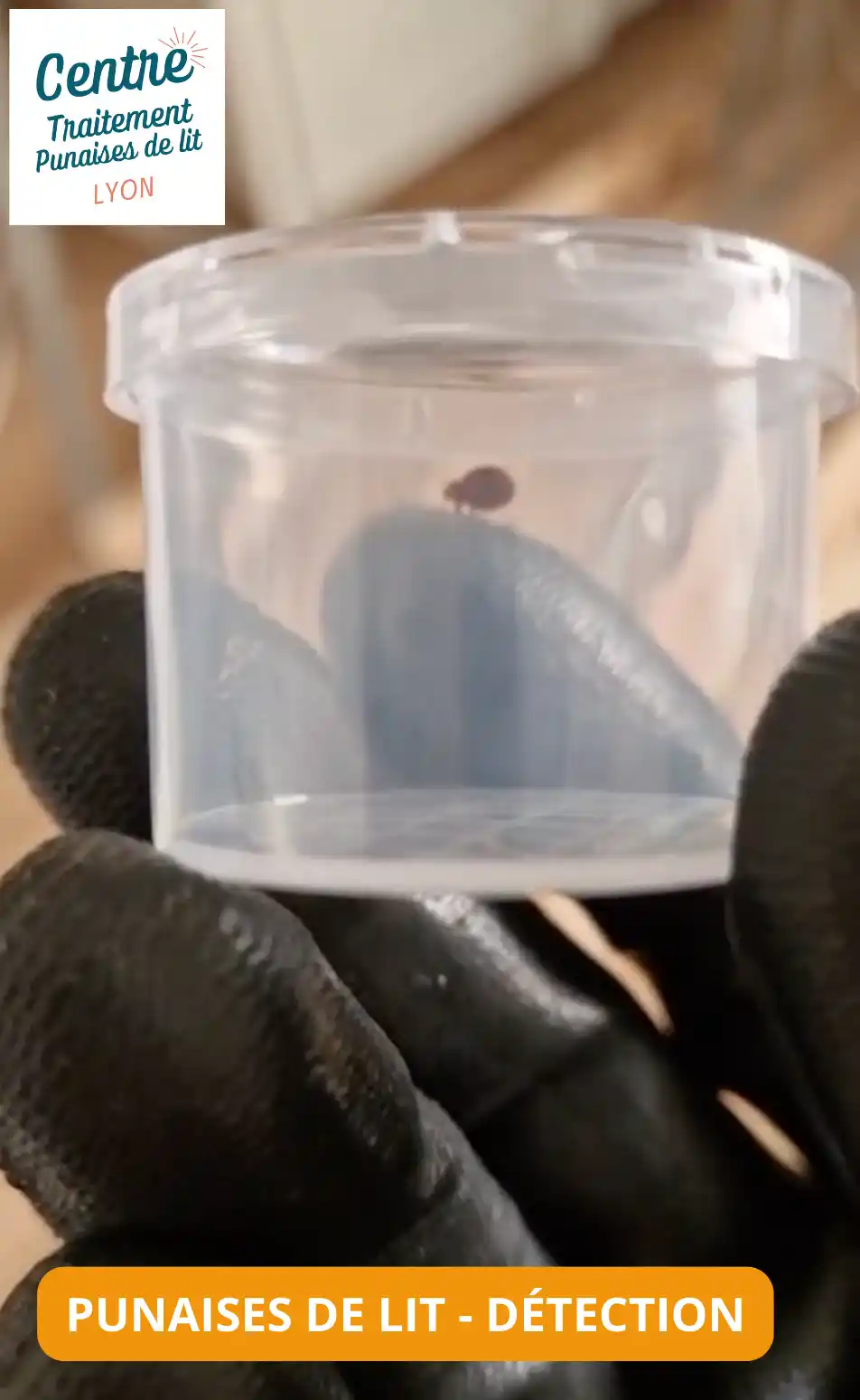 Contrôle des indices et zones de passage à Villeurbanne