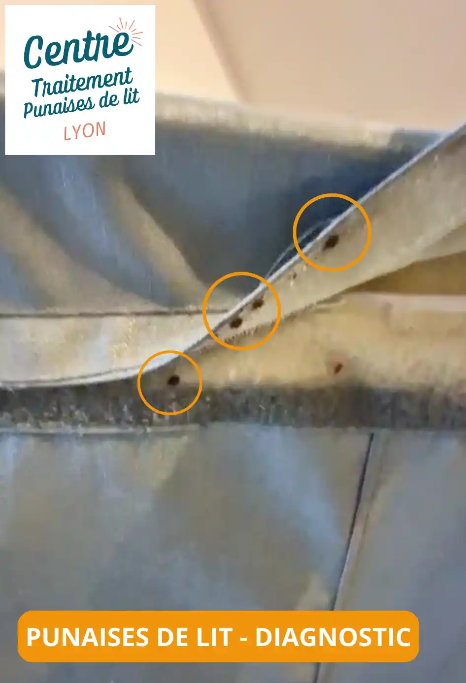 Repérage des punaises de lit pendant le diagnostic à Villeurbanne