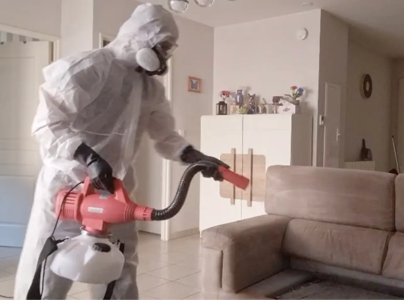 Traitement des punaises de lit par nébulisation à Villeurbanne