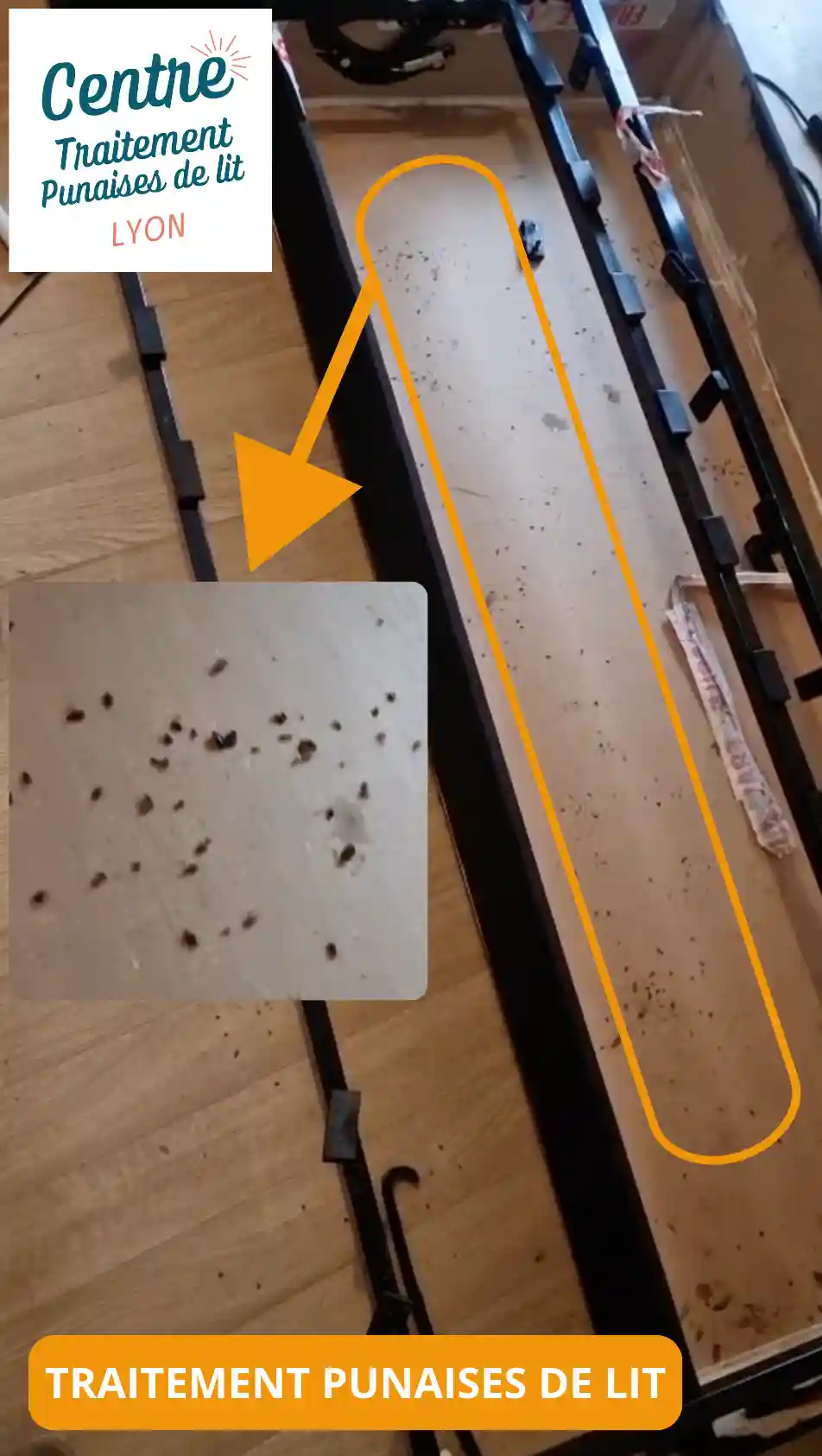 Intervention de traitement contre les punaises de lit à Villeurbanne